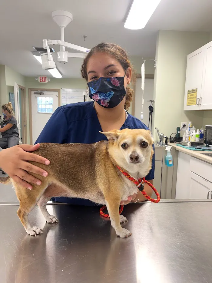 Anzer Animal Hospital 12