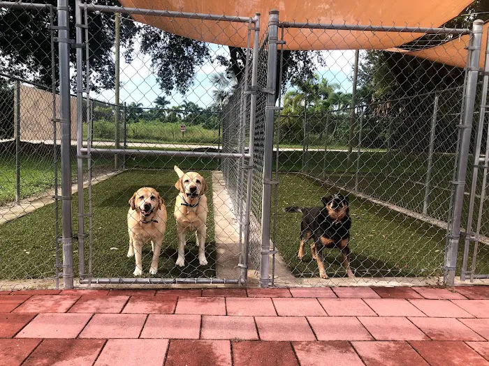 Anzer Animal Hospital 12