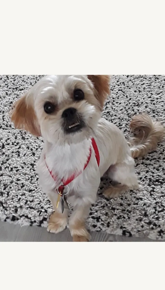 Paws2Health LLC 12