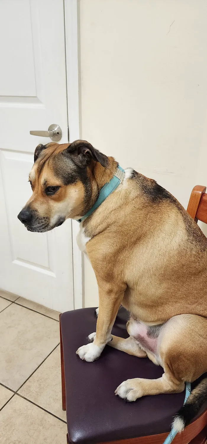 Paws2Health LLC 12