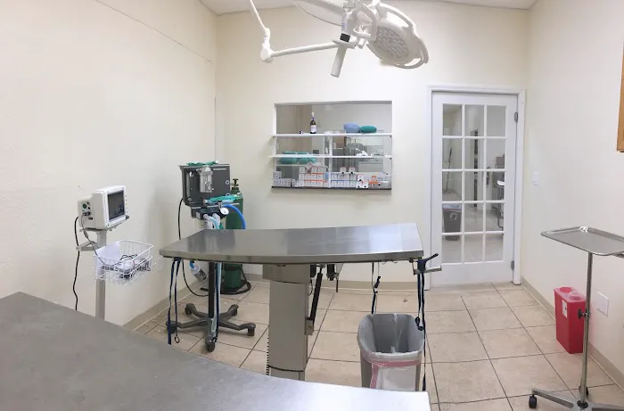 Paws2Health LLC 12