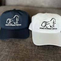 CK Equine Veterinary Services ico