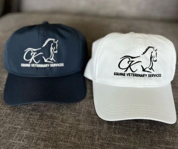 CK Equine Veterinary Services