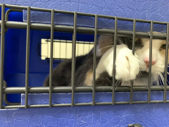 Palm Beach Gardens Animal Hospital - Vetco Total Care 12
