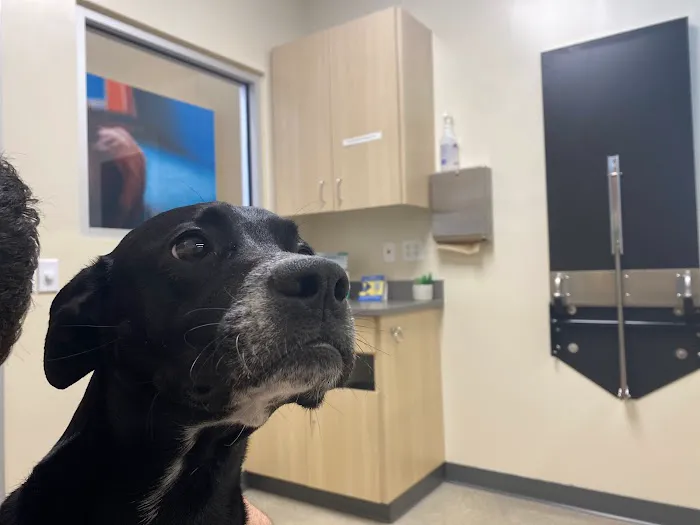 Palm Beach Gardens Animal Hospital - Vetco Total Care 12