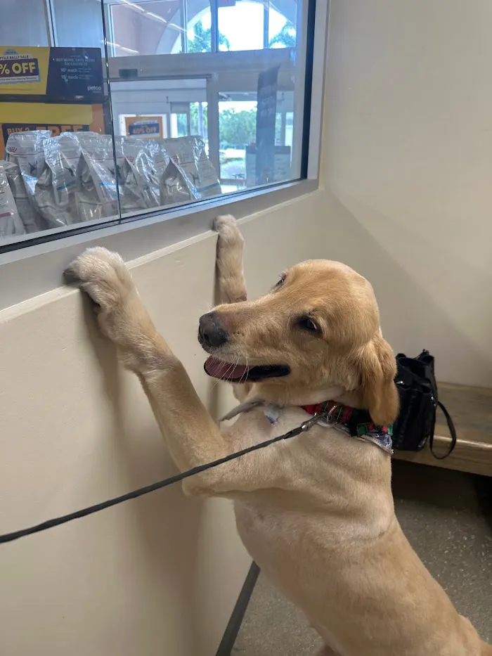 Palm Beach Gardens Animal Hospital - Vetco Total Care 12