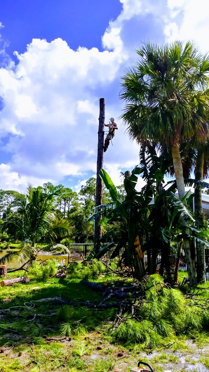 Rainforest Clinic For Birds 12
