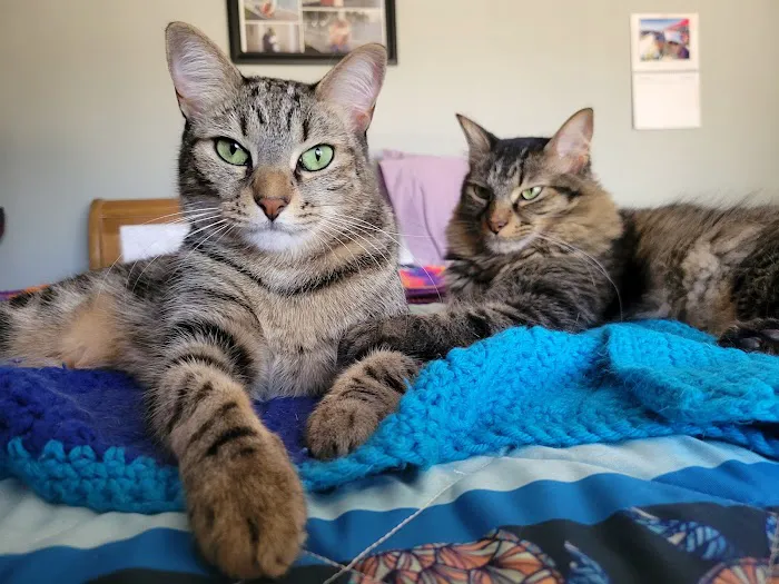 Pet Emergency and Referral Center 12