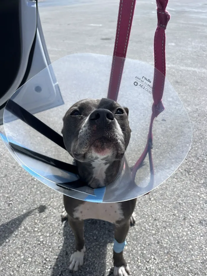 Pet Emergency and Referral Center 12