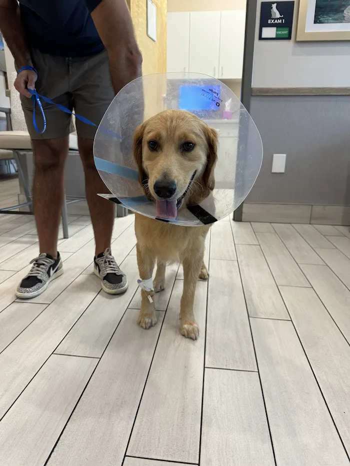 Pet Emergency and Referral Center 12