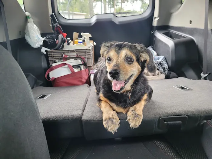 Pet Emergency and Referral Center 12