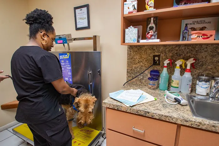 Community Animal Hospital of Royal Palm Beach 12