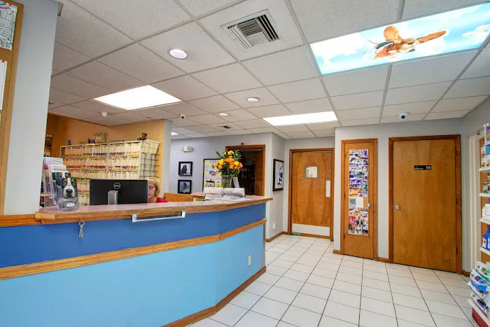 Community Animal Hospital of Royal Palm Beach 12