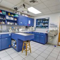 Community Animal Hospital of Royal Palm Beach ico