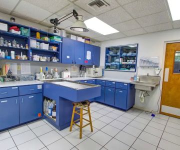 Community Animal Hospital of Royal Palm Beach
