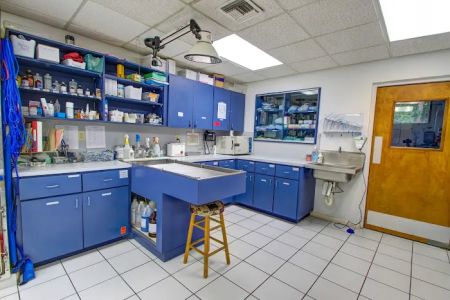 Community Animal Hospital of Royal Palm Beach