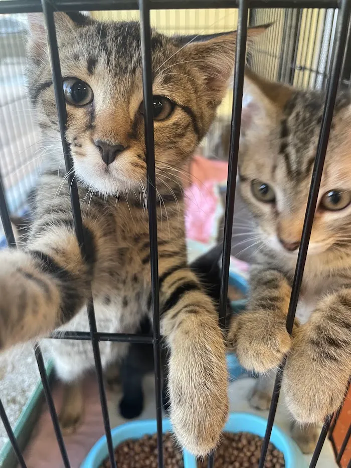 Animal Wellness Center 12