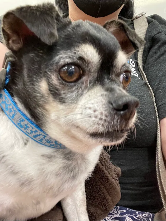 Banfield Pet Hospital 12