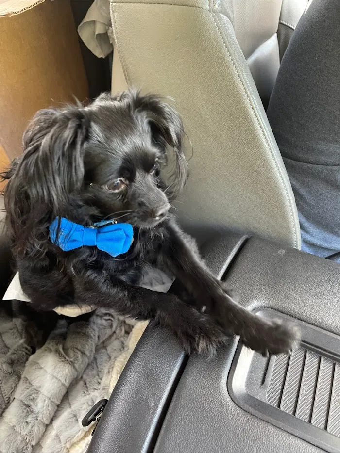Banfield Pet Hospital 12