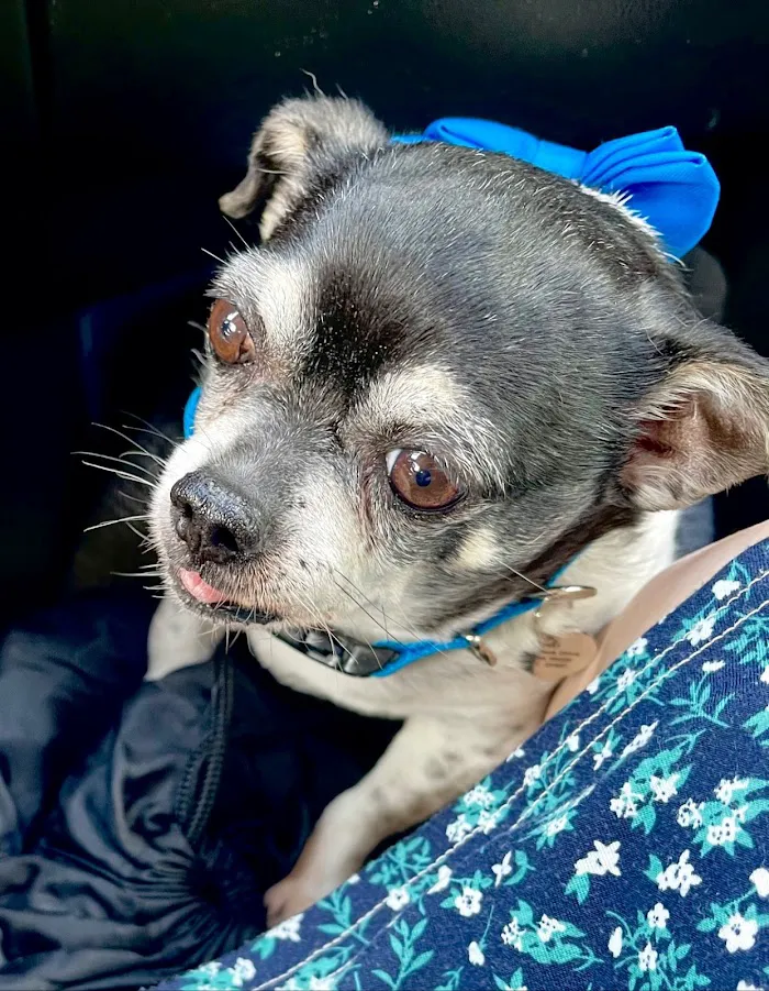 Banfield Pet Hospital 12