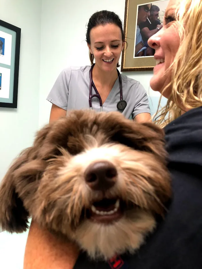 Animal Medical Clinic At Wellington 12