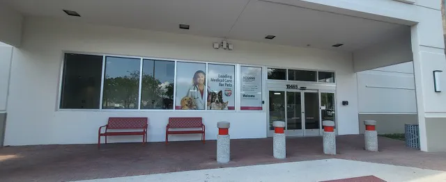 Animal Cancer Care Clinic 12