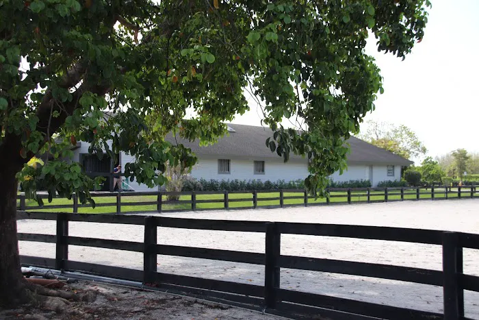 Rood & Riddle Equine Hospital in Wellington 12