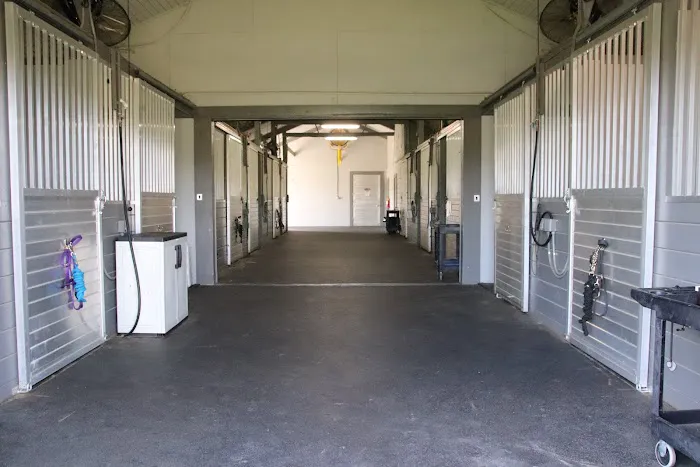 Rood & Riddle Equine Hospital in Wellington 12