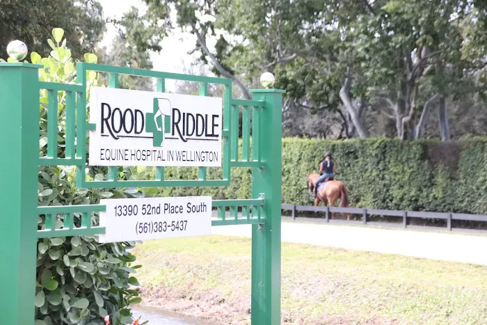 Rood & Riddle Equine Hospital in Wellington 12