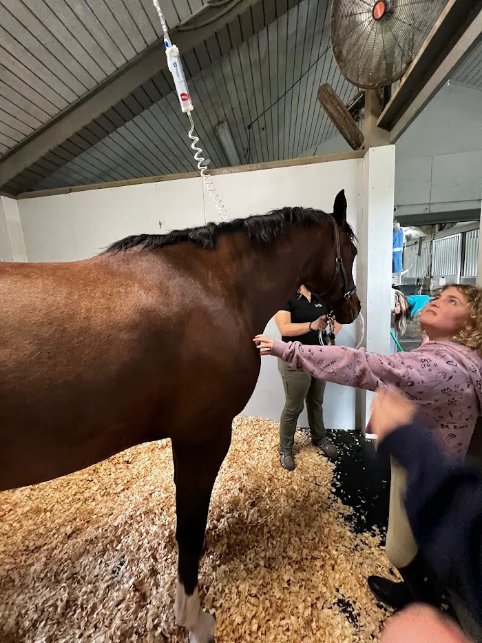 Rood & Riddle Equine Hospital in Wellington 12
