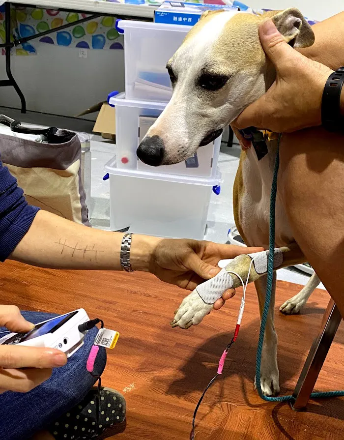 AcuVetDoc Veterinary Reproduction & Animal Care Wellness Clinic 12