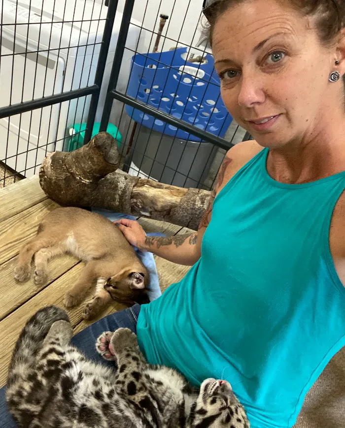 AcuVetDoc Veterinary Reproduction & Animal Care Wellness Clinic 12