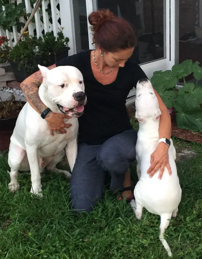 AcuVetDoc Veterinary Reproduction & Animal Care Wellness Clinic 12