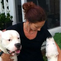 AcuVetDoc Veterinary Reproduction & Animal Care Wellness Clinic ico