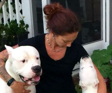 AcuVetDoc Veterinary Reproduction & Animal Care Wellness Clinic