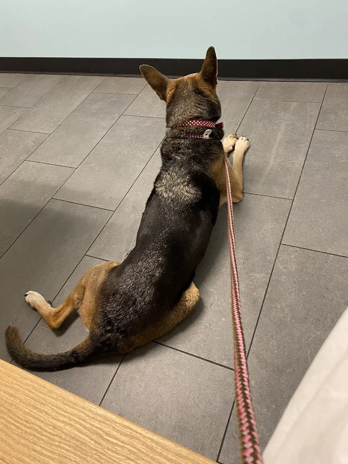 Banfield Pet Hospital 12
