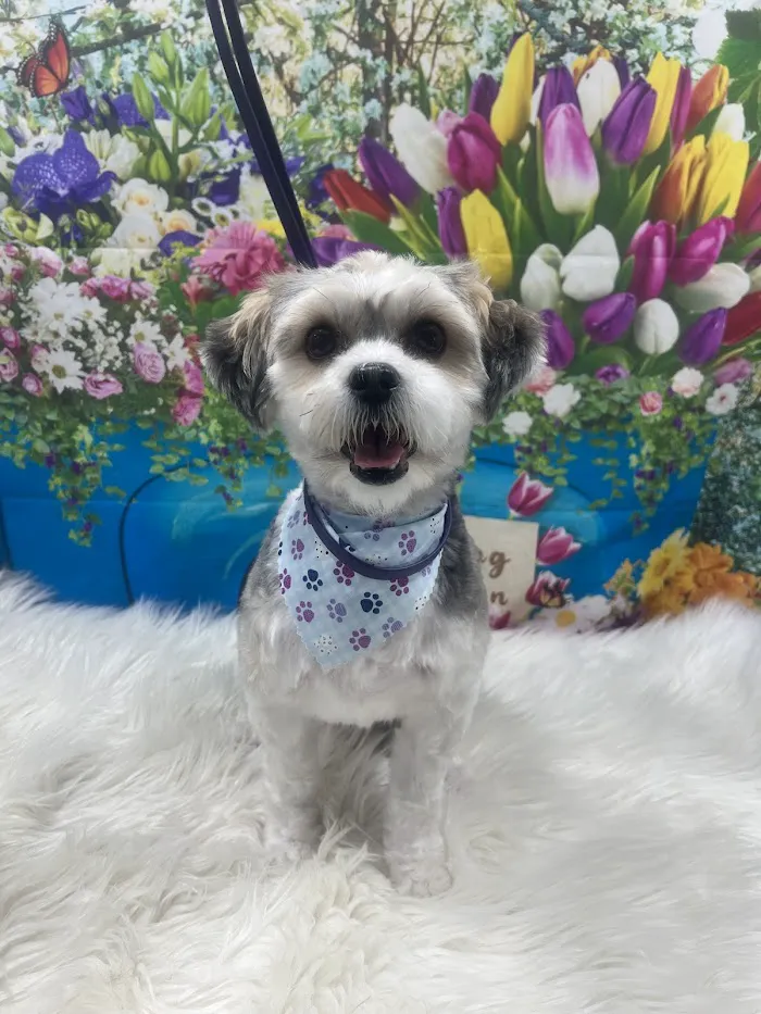 Banfield Pet Hospital 12