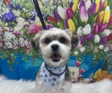 Banfield Pet Hospital