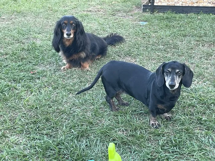 Banfield Pet Hospital 12
