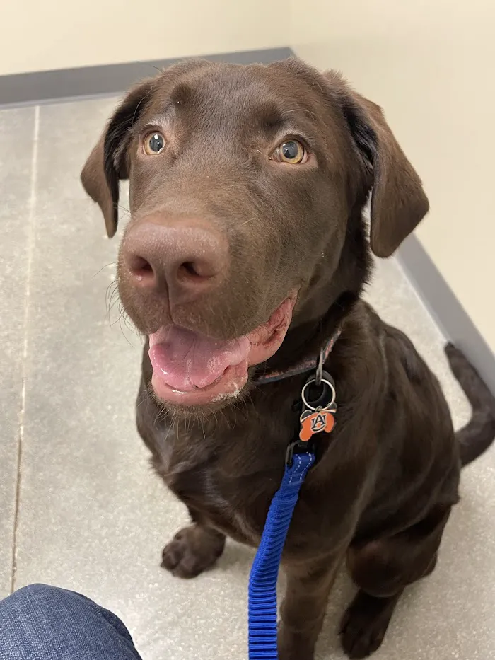 Vetco Total Care Animal Hospital 12