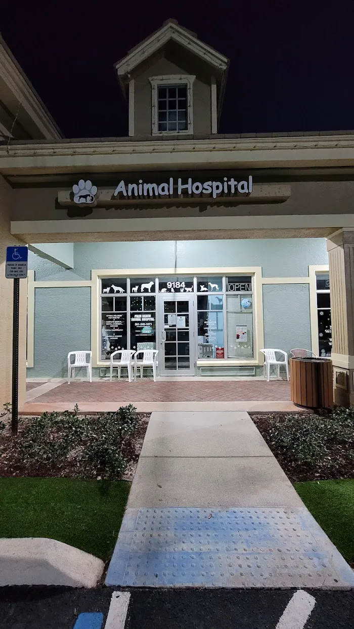 Palm Beach Animal Hospital 12