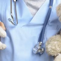 Palm Beach Animal Hospital ico