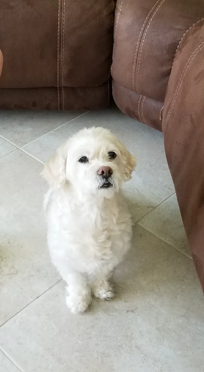 Palm Beach Animal Hospital 12