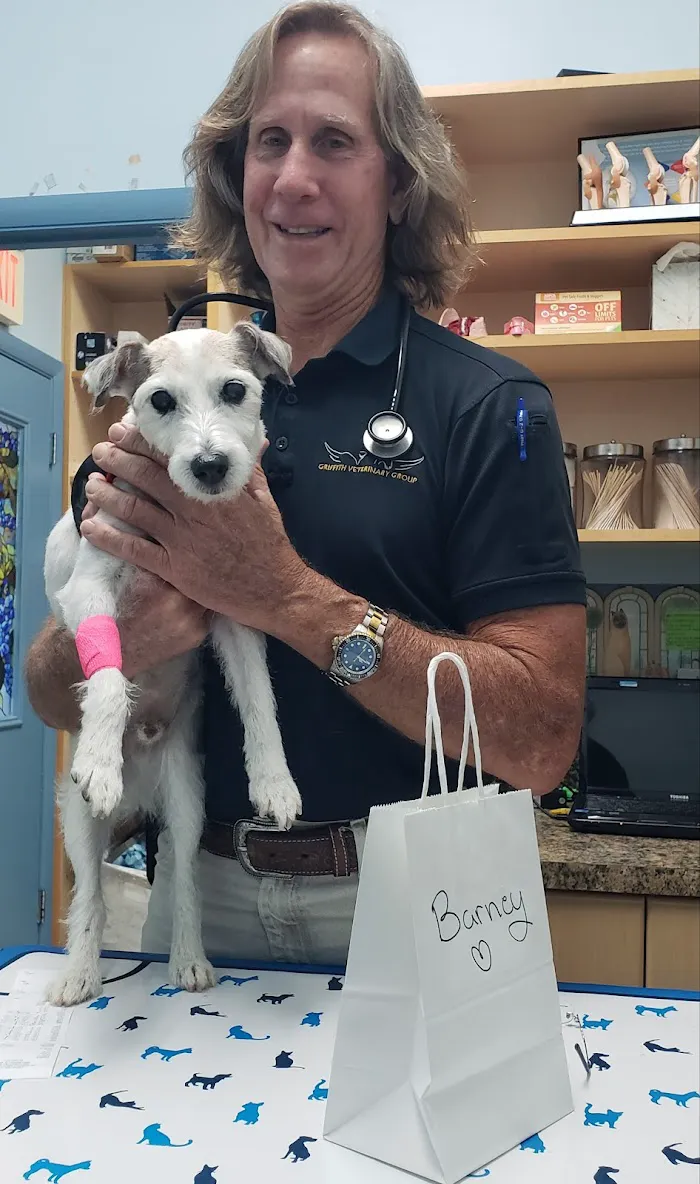 Palm Beach Animal Hospital 12