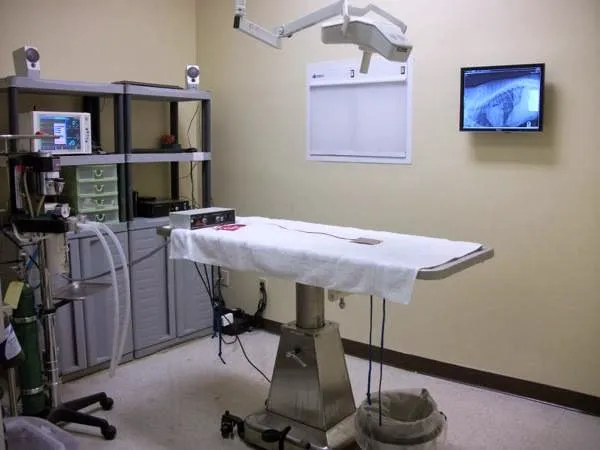 Courtyard Animal Hospital 12
