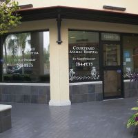Courtyard Animal Hospital ico