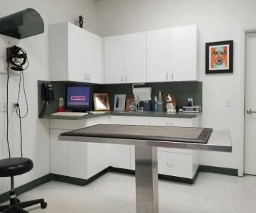 Animal Eye Specialty Clinic - West Palm Beach