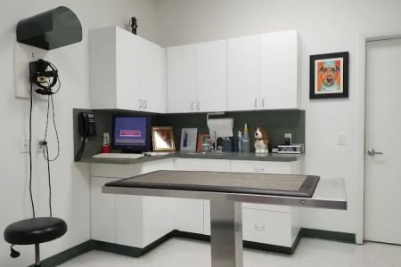 Animal Eye Specialty Clinic - West Palm Beach