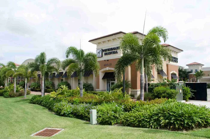 Veterinary Specialty Hospital of Palm Beach Gardens 12