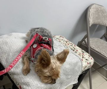 Alma Vet Connection